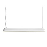 PC Linear Pendant Lamp