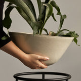 Audo Daiza Planter