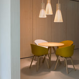 Secto 4200 Pendant Light