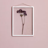 White frame a5 - Tea and Kate