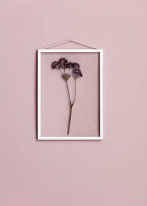 White frame a5 - Tea and Kate