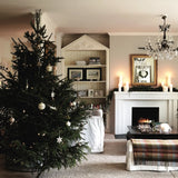 Happy Homes - Merry Christmas