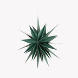 Maddox Classic Christmas Star Large Rosemary