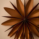 Maddox Christmas Curved Star Nutmeg