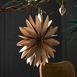 Maddox Christmas Curved Star Truffle