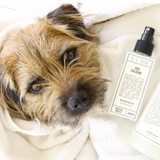 Norfolk Natural Living Dog Cologne, Coastal Walks