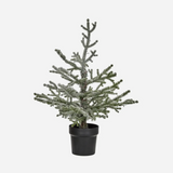 House Doctor Danish LED Christmas Tree - 70cm