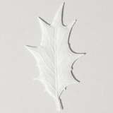HA KO Paper Leaf Incense - Winter Fir Tree