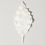 HA KO Paper Leaf Incense - Spicy Jasmine