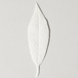 HA KO Paper Leaf Incense - Moss