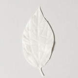 HA KO Paper Leaf Incense - Smoky Cinnamon