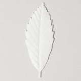HA KO Paper Leaf Incense - Cedar