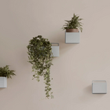 Ferm Living Square Wall Box - Cashmere