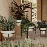 Audo Daiza Planter
