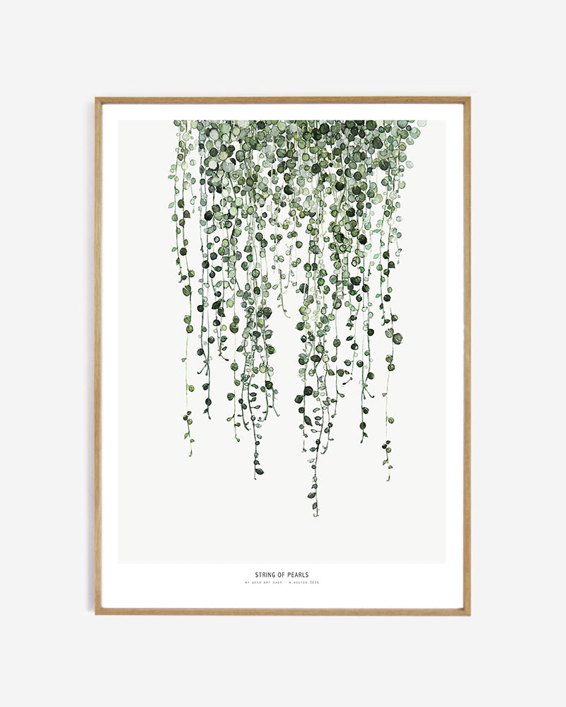 String of Pearls Botanics poster was £65